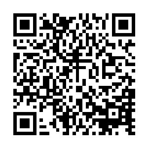你不管了你左一巴掌右一巴掌的抽人家柳树的耳光做什么啊二维码生成