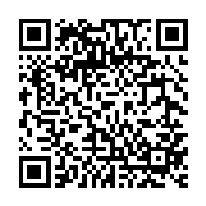 你不能因为在玉府里一直没见到萧嬷嬷就忘记萧嬷嬷的性子了二维码生成