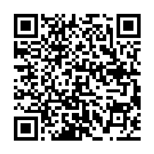 你不要答应他……你没必要为了和他打一场就付出这么大的代价二维码生成