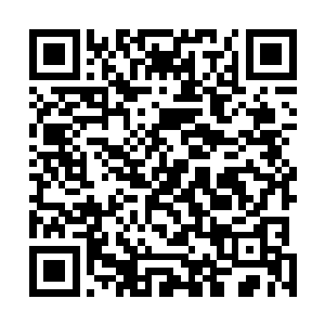 你不觉得竞价这样的方式太侮辱这样独一无二的绝品了吗二维码生成