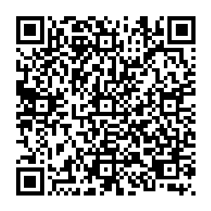 你个龟孙 让你喝酒别开车 开车也别开那么快 现在这一屁股的屎 你让我怎么给你擦 二维码生成