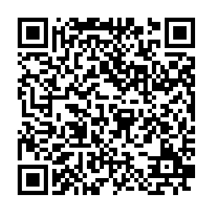 你为什么不问问这些狗奴才这番拿着棍棒凶器藏在你屋子里干什么二维码生成