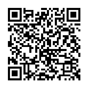 你为什么会不顾你和那个人之间巨大的实力差距二维码生成