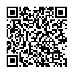 你为什么要让一个无辜的人为他的前两世付出这么大的代价二维码生成