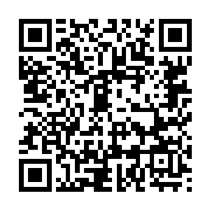 你也不差呀――不过我们这一次还是不能去赌场地二维码生成