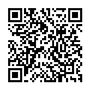 你也不能要求苗毅那种长期在死亡边缘上挣扎的人对你毫无保留二维码生成
