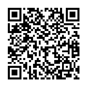 你也别让我再回去继续打探……相信你也不会让我回去二维码生成