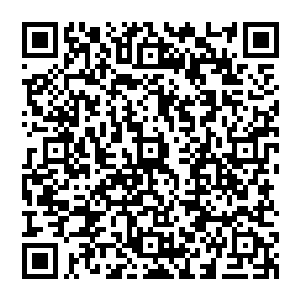 你也和我以前的主人一样……喜欢拿着东西来逗喵咪……只不过以前的主人并没有逗过我……二维码生成