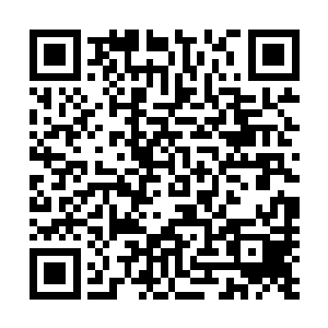 你也未免太淡定了吧……人家可是被你打了一枪正在流血啊二维码生成
