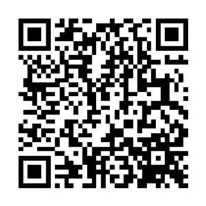 你什么时候变这么厉害的不行我今天赖在你这里不走了二维码生成