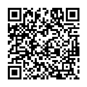 你仔细注意下这地上分别代表金木水火土五行的五样东西二维码生成