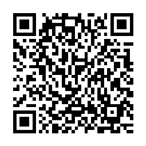 你以为一时半会儿的他能够处理完北境和前朝旧臣之间的矛盾么二维码生成