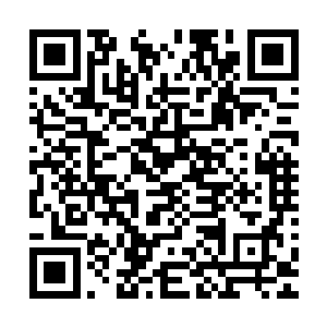 你以为你们比别人多几条命还是以为这世界没有你们就不转了二维码生成