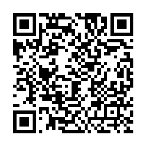 你以为凭他们区区渡劫期的人族能抵抗得了那些怨气的侵蚀灌体二维码生成