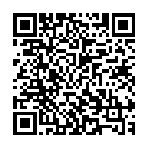 你以为只有你们白鹿书院才会在我们东林书院当中安插钉子吗二维码生成