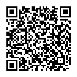 你以为给你一个刚读大一的学生开出三十万的片酬让你来给我演女主角二维码生成