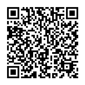 你以后会知道具体情况……现在交给你的任务是控制九香门去征服扩张二维码生成