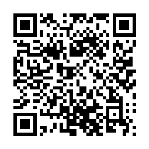 你们……还给我……为什么连尸体都要拿走……为什么……二维码生成