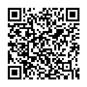 你们三人用着武力将南宫雨柔的荒芜古珠抢来了二维码生成