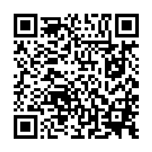 你们不会真的认为这么简单就能对付秘社的第一号人物吧二维码生成