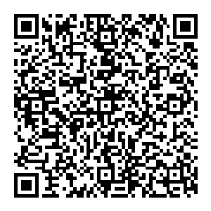 你们不是从普陀大山过來的吗　那所谓的上古遗迹就在普陀大山之外的另一处的禁地当中　那里也是我妖族地域与人族地域的交叉点　二维码生成