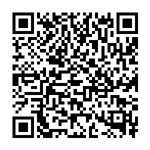 你们不是想要知道我到底为什么不和你们在一起也能够猜到你们的遭遇二维码生成