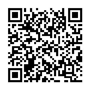你们两个从现在开始就是撒旦佣兵团的正式成员了二维码生成