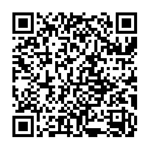 你们两个换好生化服后下去看看里面到底是什么东西将排水管道堵了二维码生成