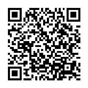 你们两个每天抽出两个时辰的时间去开垦和照顾药园就可以了二维码生成