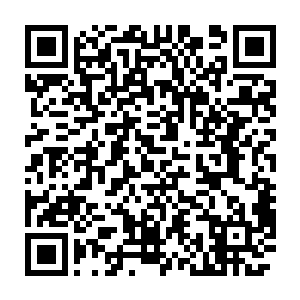 你们两家在最近几年可是迅速靠着网络的优势占据了大量的市场啊二维码生成