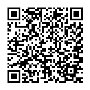 你们两货真的不是因为人家周二少抢了你们两位大少风头在冒酸水二维码生成