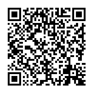 你们人类……破坏环境……我不喜欢你们……来这里……呼噜噜噜……二维码生成