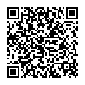 你们人类这种最卑微的动物是没有办法了解我们这种贵族的思想的二维码生成