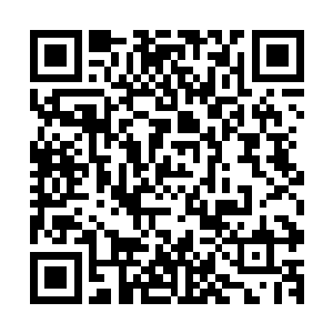 你们以为本宫刚刚拖着那么久不对你们动手是因为实力不够吗二维码生成