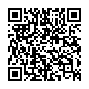 你们修炼的功法源出一脉……本来他是打算吸收你一身修为的二维码生成