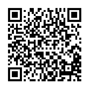 你们几个白痴到底在凡人界干了什么~~~比以前还不靠谱了哟~~~~二维码生成