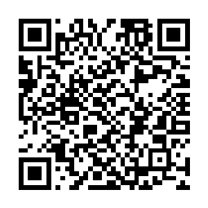 你们刚才已经被我分别任命为雷神堂和厚土堂的堂主了二维码生成