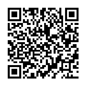 你们勾结妖界妄图埋葬整座十寒古地这笔帐我都没跟你们算二维码生成