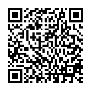 你们占据的所有星海星球上每年获得的资源我们隐世家族要一半二维码生成