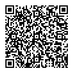 你们县委书记张德清张书记昨天下午都已经来见过李立德部长和市政府主管文教卫的副市长雷洁市长了二维码生成