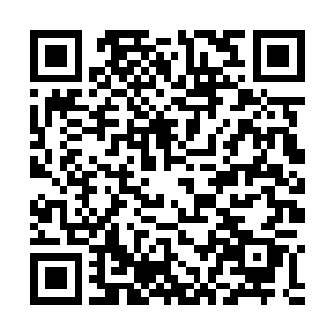 你们只有两种手段可以得到这么多的符神圣等级的符印二维码生成