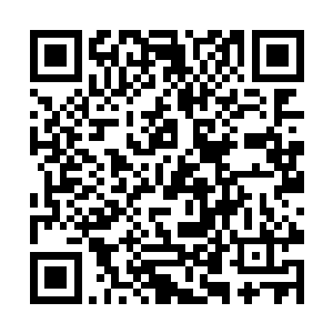 你们叶家现在已经到了足以抗衡整个古家族的地步了二维码生成