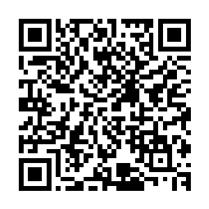 你们各自从人族那里得到了利用星辰之力提升血脉力量的方法二维码生成