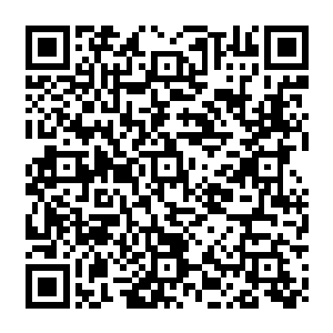 你们呀根本就没有看到其中的本质问题所在要收拾农场的人呢根本就不是真正的目的所以二维码生成