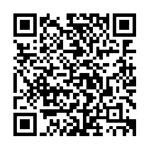 你们国家的法律也没有不第一时间提交证据就作废的明文规定二维码生成