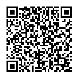 你们在外面可是看到大殿之内有一个你们从来没有见过的白须皓首老者二维码生成