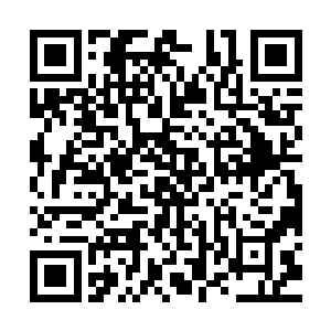 你们在抓好了这个项目产业的同时也还要积极寻求其他的增长点二维码生成