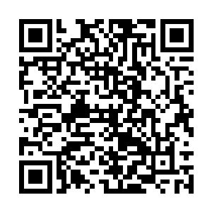 你们在这里滴上一滴血以后就不会出现这种现象了二维码生成