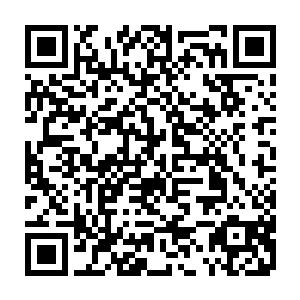 你们在遇到这样的强者之后比我这个被你们瞧不起的私生子来的还要痛苦二维码生成