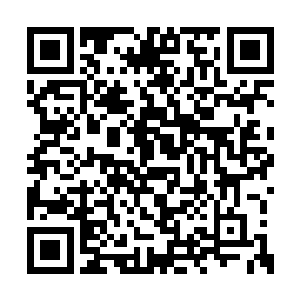 你们就不能一点点根据证言和线索进行逻辑推理二维码生成